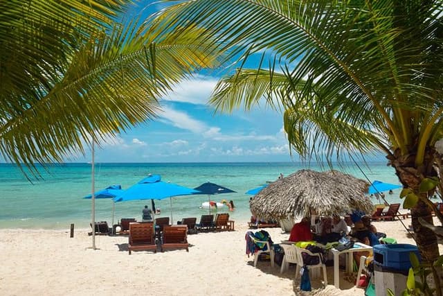 Cozumel Shore Excursion: 5-Hour Sightseeing Tour with Private Driver