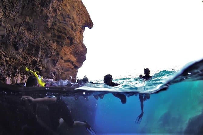 Unforgettable Whale Watching Adventures in Terceira, Azores