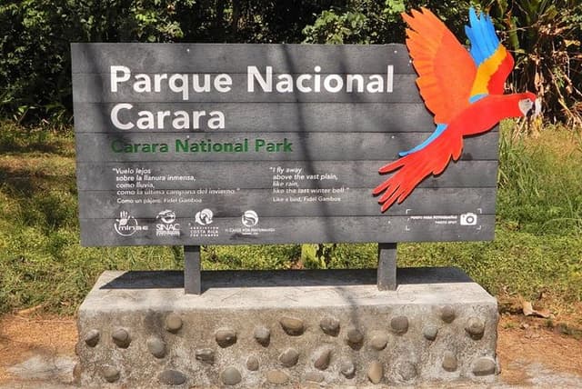 Carara National Park Birdwatching Private Guided Tour Experience.
