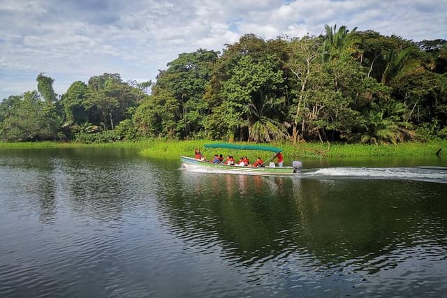 Monkey & Sloth Panama Canal Boat Safari with Casco Viejo Brunch