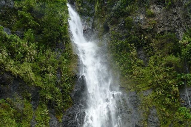 private Tahiti island discovery