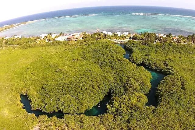 Paddleboard Combo Tour Cenote + Ocean