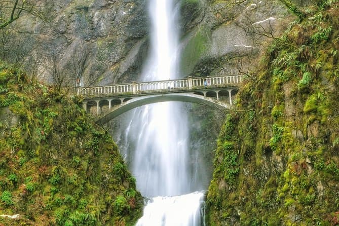 Best Multnomah Falls Tours & Portland Nature Adventures