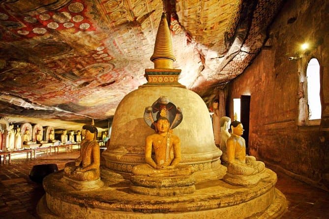 Best Rated Dambulla & Habarana Day Trips