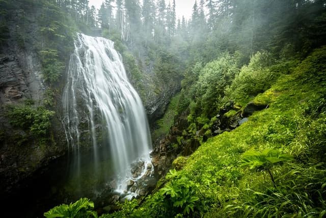 Mt. Rainier National Park Highlights Tour