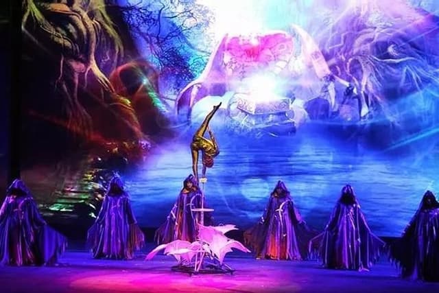 Fantastic Acrobatic show in Beijing with one way private transfer