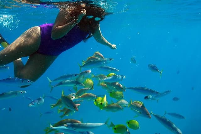 Ko Olina Catamaran Sail and Snorkel with Lunch
