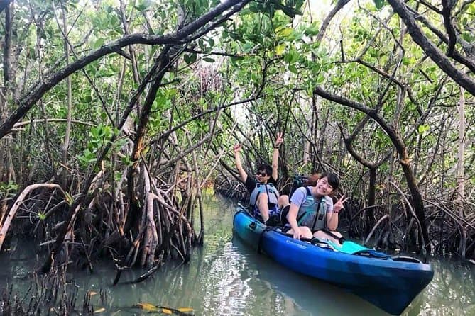 Cocoa Beach Mangrove Tunnel Kayak Adventure & Eco-Tour