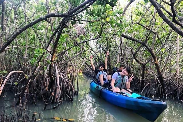 Thousand Island Mangrove Tunnel, Manatee & Dolphin Kayak Tour w/Cocoa Kayaking
