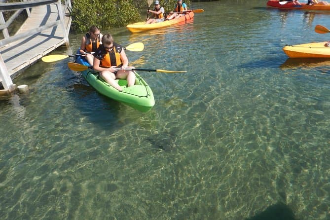 Best Half Day Sea Kayak Tour in Batemans Bay