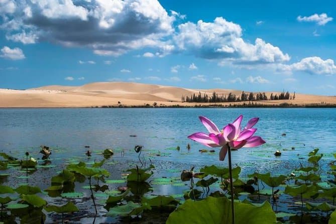 Best Mui Ne Day Trip from Ho Chi Minh City Tours