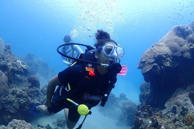Best Koh Tao Diving Adventures & Scuba Tours from Koh Samui