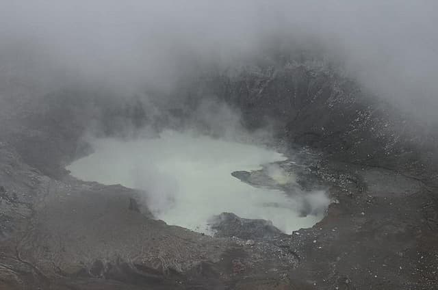 Combo tour Poas Volcano and La Paz waterfall and Coffee tour