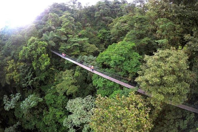Best La Fortuna Waterfall Tour & Jungle Adventure
