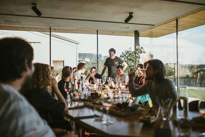 Best Vipava Valley Wine Tasting & Tours from Ljubljana