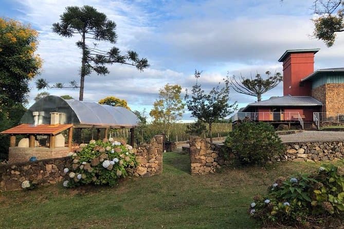 Best Gramado Wine Tours & Tasting