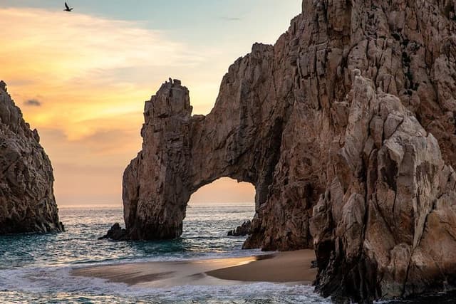 Dinner Cruise Tour in Cabo San Lucas with Tequila Tasting