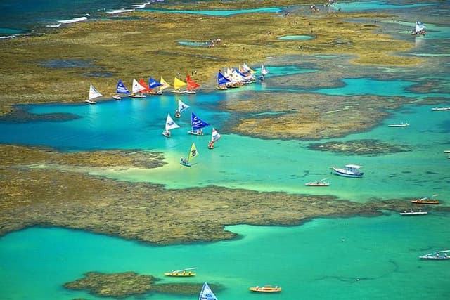Transfer from Recife / PE Airport to Porto de Galinhas / PE