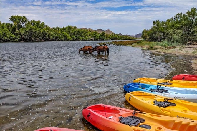 Best Lower Salt River Rafting Adventures in Phoenix