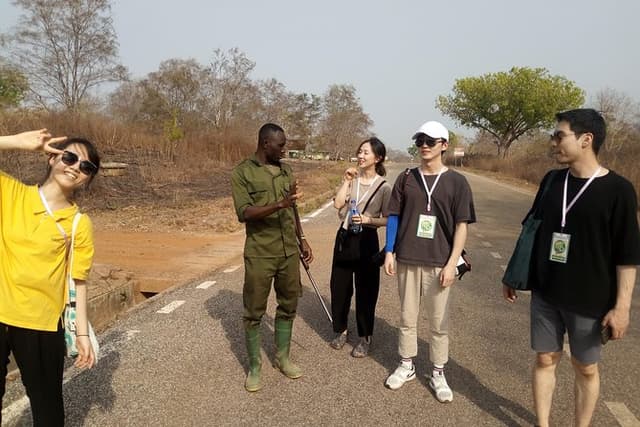 Day Trip from tamale-Mole National