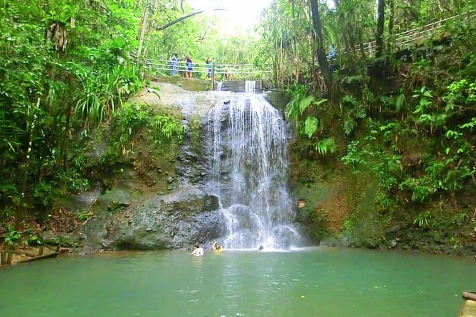 Unforgettable Suva City Tours & Local Cultural Experiences