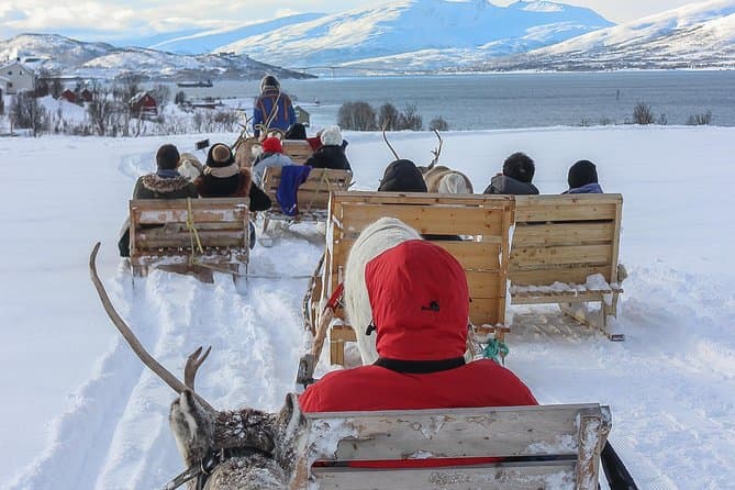 Top-Rated Reindeer Tours in Tromso