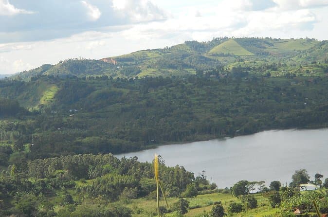 Kibale National Park Big Five & Gorilla Safari Guide