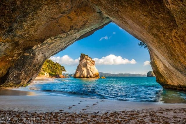 Cathedral Cove and Hot Water Beach Scenic Day Tour from Auckland