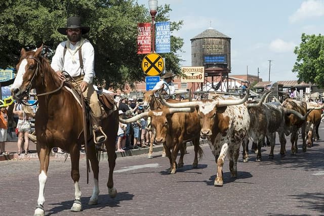 Best of Fort Worth from Dallas Or Fort Worth