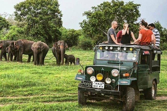 Colombo Wildlife Tour: Nature, Birds & Coastal Wonders