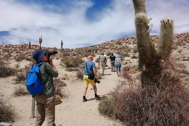 2-Day Tour to Algarrobal, Los Colorados and La Poma from Cachi