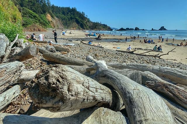 Oregon Coast Day Trip: Cannon Beach and Haystack Rock