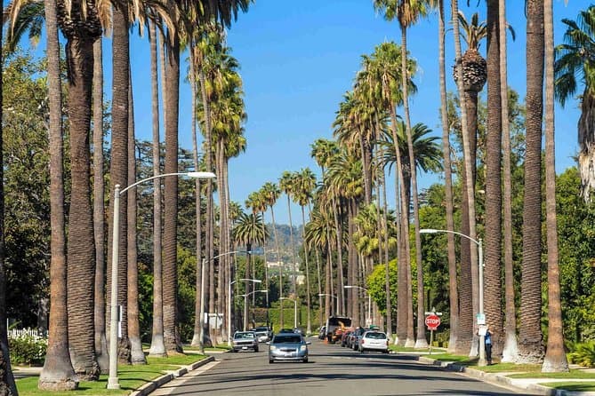 Elite Santa Monica Limo Tours & Luxury LA Sightseeing