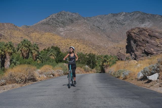 Palm Springs Indian Canyons EBike and Hike