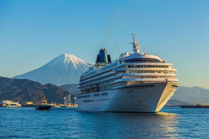 Best Shimizu Sightseeing Tour Options in Shizuoka
