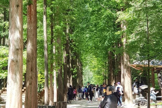 Nami Island and Petite France - Filming location