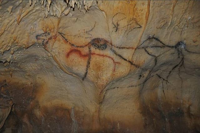 Sarlat : Private Tour to Prehistoric Cave + Castle by Exploreo24