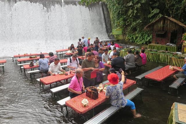 Immerse in Culture: Villa Escudero Coconut Plantation Experience