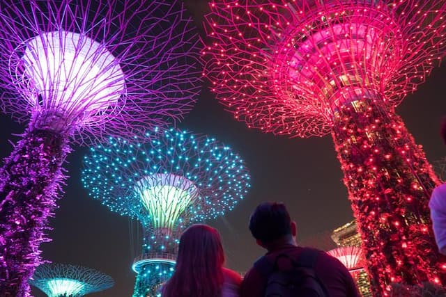 Big Bus Singapore Night Tour with Gardens by the Bay Light Show