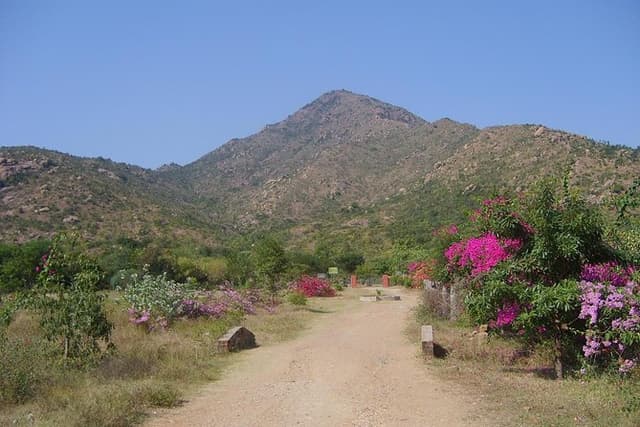 Tiru Arunachala Tours - Tiruvannamalai Tour Guide