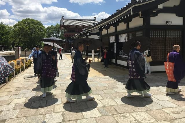 One-Day Osaka Bike Adventure: 5–6 Hours
