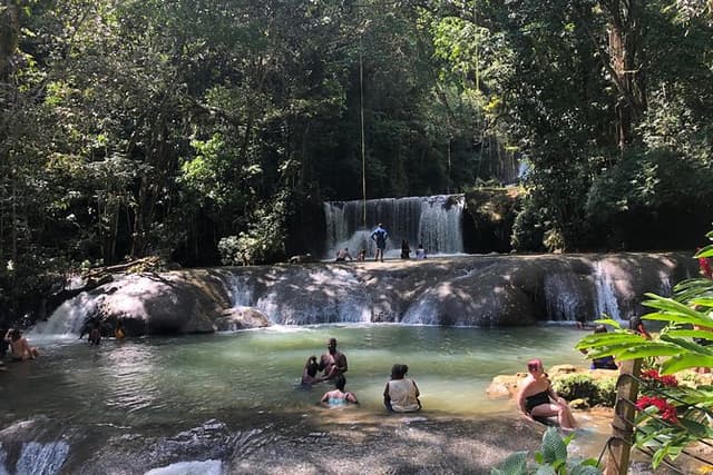 Black River Safari, YS Falls and Appleton Estate
