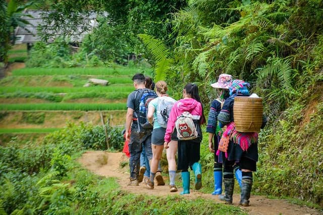 Trekking Through Rice Terraced Fields - 1Day​