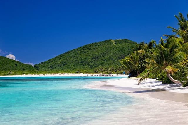 Round Trip Transportation: San Juan to the Ceiba Ferry Terminal