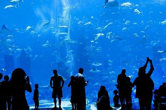 Grand Aquarium from Hurghada, Dolphins house