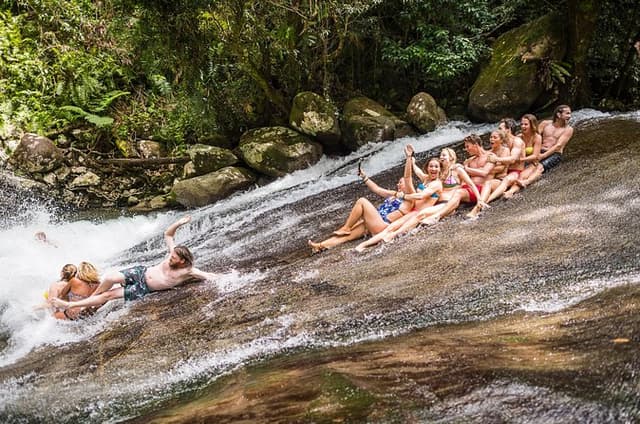 Fun, Falls and Forest Day Trip from Cairns