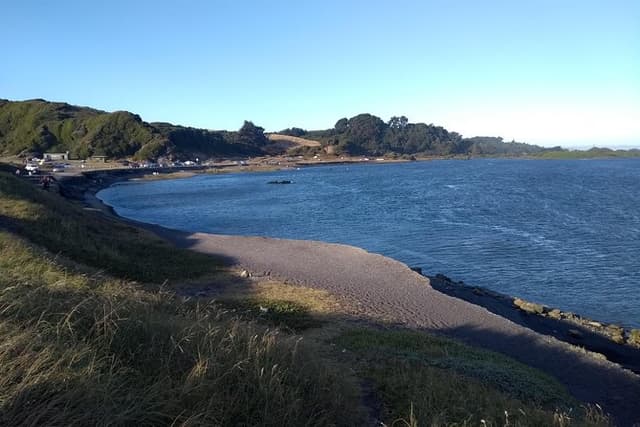 Tour around Biobío River Estuary & Pedro del Río Zañartu Museum