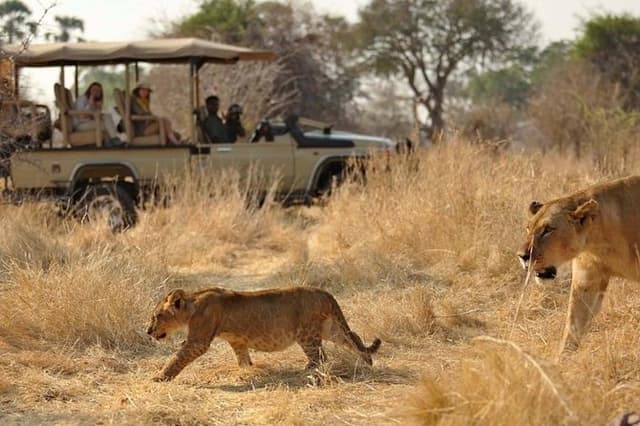 5 Days 4 Night In Ruaha And Udzungwa Mountain National Park