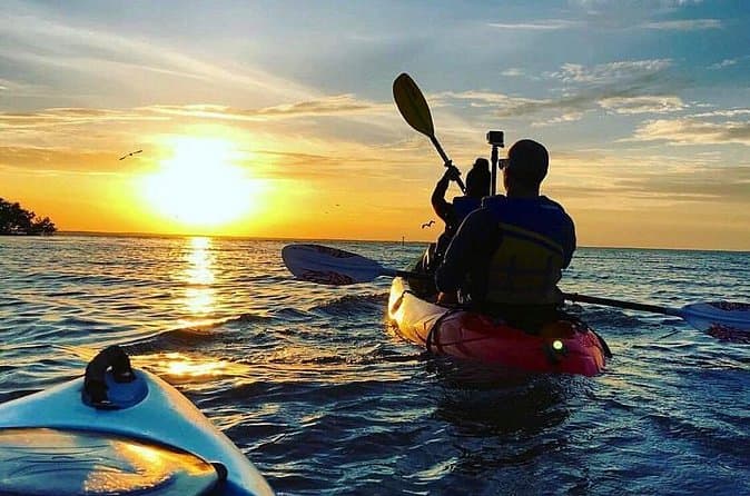 Night Bioluminescent Kayak Tours Cat Ba