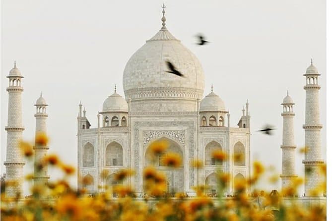 Premium Delhi Agra Jaipur Transfers & Golden Triangle Tours